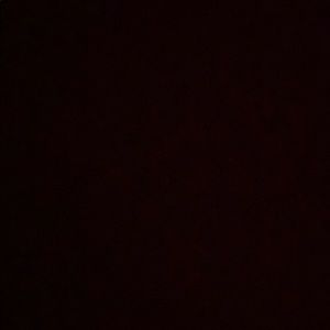 Meet your Posher, Alisha